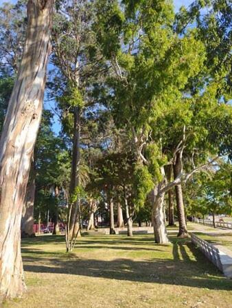 Apartamentos Mar De La Concha Vilagarcia de Arousa Luaran gambar